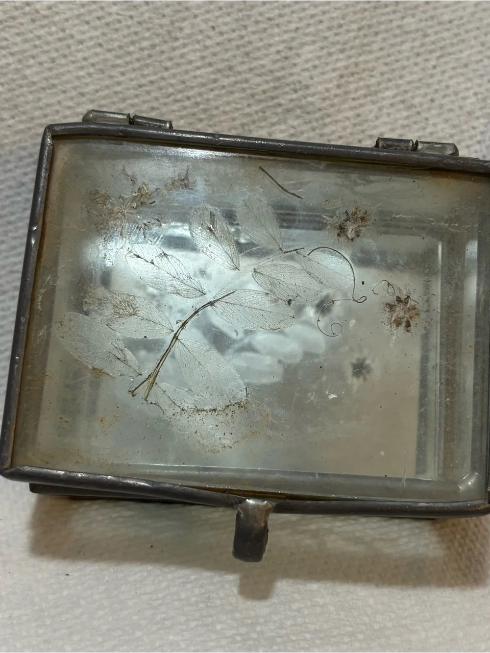 Vintage Leaded Glass Trinket Box with Dried Flowers